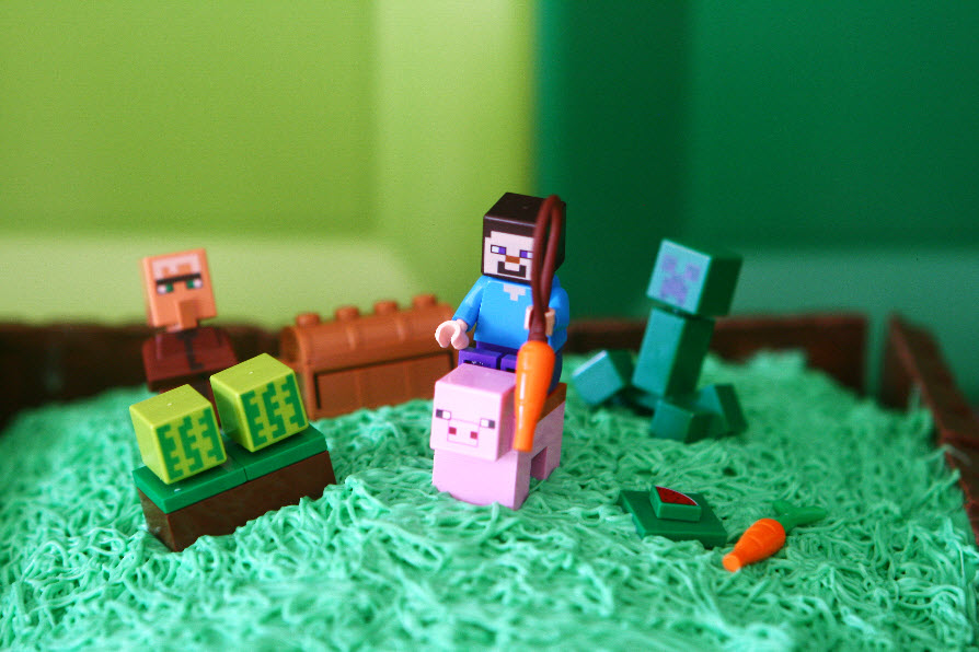 minecraft birthday party