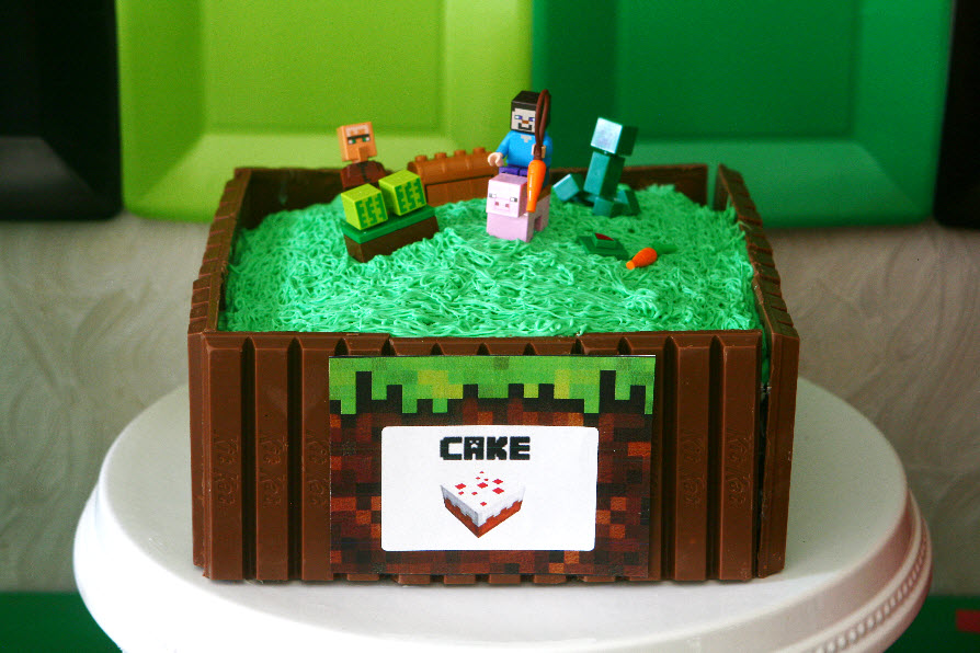 minecraft birthday party