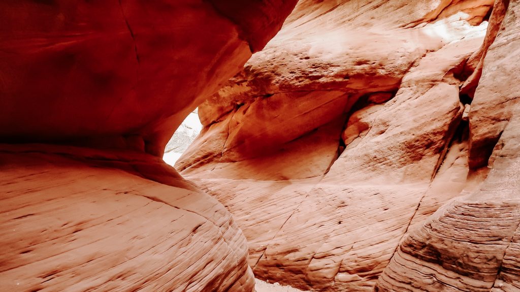 zion national park